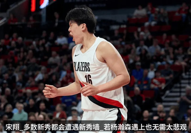 宋翔_多数新秀都会遭遇新秀墙_若杨瀚森遇上也无需太悲观